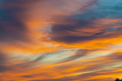 Picture of USA-IDAHO-BACKLIT CIRRUS CLOUDS CAN MAKE A MAGNIFICENT SUNSET