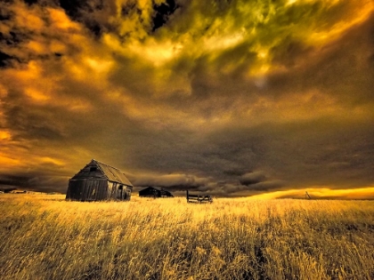 Picture of USA-IDAHO-LIBERTY-INFRARED OF OLD CABIN NEAR LIBERTY