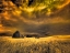 Picture of USA-IDAHO-LIBERTY-INFRARED OF OLD CABIN NEAR LIBERTY