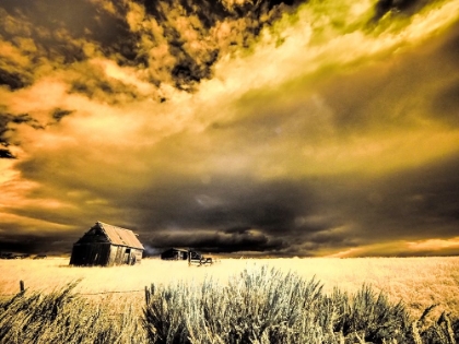 Picture of USA-IDAHO-LIBERTY-INFRARED OF OLD CABIN NEAR LIBERTY