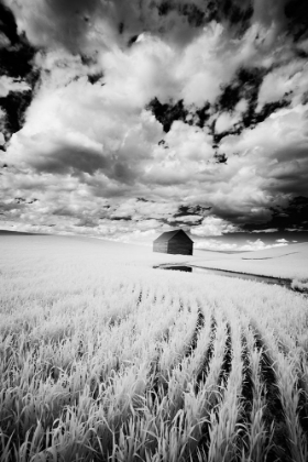 Picture of INFRARED PALOUSE FIELDS AND BARN-PR