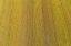 Picture of AERIAL VIEW OF CORN FIELD NEAR HARVEST TIME-MARION COUNTY-ILLINOIS