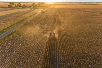 Picture of AERIAL VIEW OF COMBINE HARVESTING CORN FIELD AT SUNSET-MARION COUNTY-ILLINOIS
