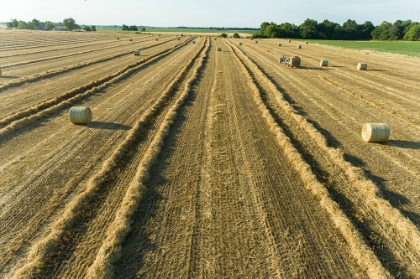 Picture of AERIAL VIEW OF ROWS OF WHEAT STRAW BEFORE BALING AND ROUND BALES-MARION COUNTY-ILLINOIS