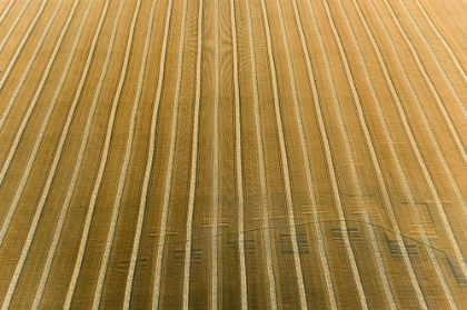 Picture of AERIAL VIEW OF ROWS OF WHEAT STRAW BEFORE BALING-MARION COUNTY-ILLINOIS