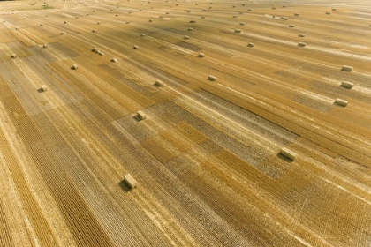 Picture of AERIAL VIEW OF LARGE SQUARE BALES OF WHEAT STRAW IN FIELD-CLAY COUNTY-ILLINOIS