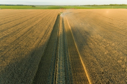 Picture of AERIAL VIEW OF COMBINE HARVESTING WHEAT AT SUNSET-MARION COUNTY-ILLINOIS