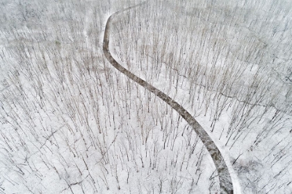 Picture of AERIAL VIEW OF A FRESH SNOW OVER THE FOREST AND ROAD-MARION COUNTY-ILLINOIS