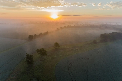 Picture of SUNRISE AND FOG-MARION COUNTY-ILLINOIS