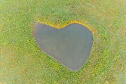 Picture of HEART SHAPED POND-MARION COUNTY-ILLINOIS