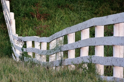 Picture of WHITE WOODEN FENCE ACROSS ROLLING HILL-SHAKER VILLAGE OF PLEASANT HILL-HARRODSBURG-KENTUCKY