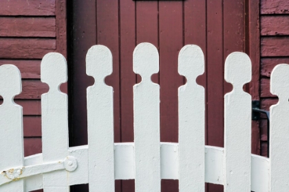 Picture of TYPICAL WHITE PICKET FENCE-SHAKER VILLAGE OF PLEASANT HILL-HARRODSBURG-KENTUCKY