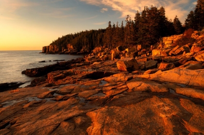 Picture of USA-MAINE-ACADIA NATIONAL PARK SUNRISE ON OCEAN COASTLINE