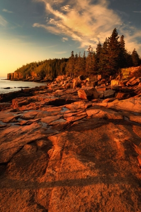 Picture of USA-MAINE-ACADIA NATIONAL PARK SUNRISE ON OCEAN COASTLINE