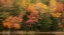Picture of USA-MAINE-ACADIA NATIONAL PARK FOREST REFLECTIONS IN LAKE