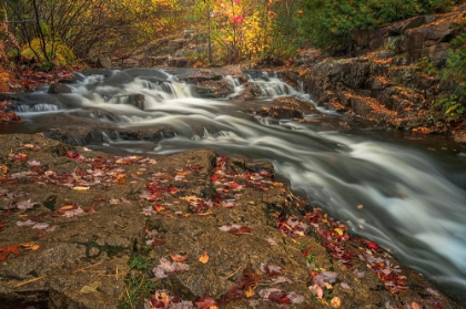 Picture of USA-MAINE-ACADIA NATIONAL PARK STREAM RAPIDS IN FOREST