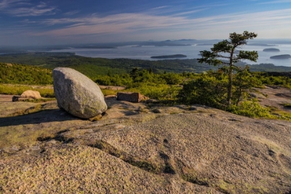 Picture of VIEW FROM CADILLAC MOUNTAIN LOOKING DOWN ONTO FRENCHMAN BAY IN ACADIA NATIONAL PARK-MAINE-USA