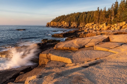 Picture of OTTER CLIFFS AT SUNRISE IN ACADIA NATIONAL PARK-MAINE-USA