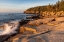 Picture of OTTER CLIFFS AT SUNRISE IN ACADIA NATIONAL PARK-MAINE-USA