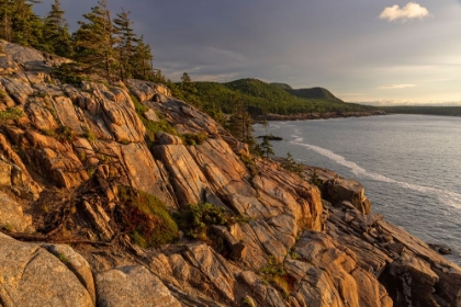 Picture of OTTER CLIFFS AT SUNRISE IN ACADIA NATIONAL PARK-MAINE-USA