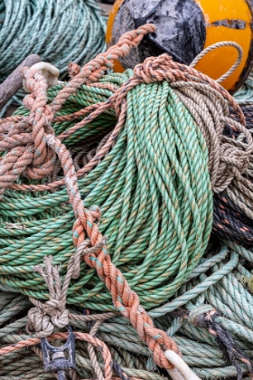 Picture of LOBSTER ROPE IN BERNARD-MAINE-USA