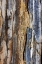 Picture of STRIATED ROCK AT PEMAQUID POINT-MAINE-USA