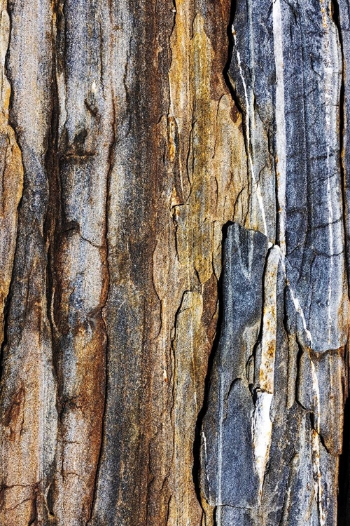 Picture of STRIATED ROCK AT PEMAQUID POINT-MAINE-USA