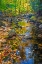 Picture of USA-NEW ENGLAND-MAINE AUTUMN AND STREAM JUST OFF OF WILD RIVER ROAD