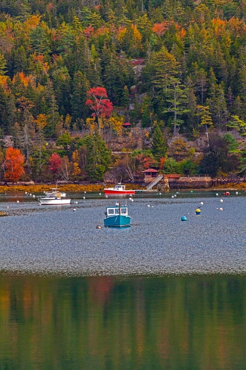 Picture of USA-NEW ENGLAND-MAINE-MT-DESERT-SOUTHWEST HARBOR WITH WOODEN BOATS