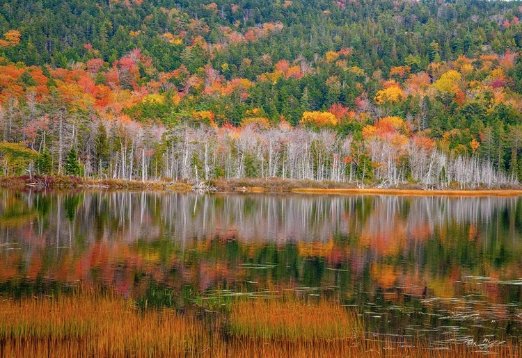 Picture of USA-NEW ENGLAND-MAINE-MT-DESERT ISLAND-ACADIA NATIONAL PARK WITH SMALL LAKE WITH HILLSIDES IN AUTUM