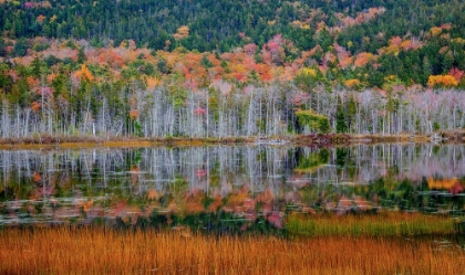 Picture of USA-NEW ENGLAND-MAINE-MT-DESERT ISLAND-ACADIA NATIONAL PARK WITH SMALL LAKE WITH HILLSIDES IN AUTUM