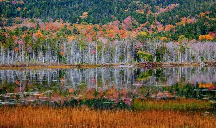 Picture of USA-NEW ENGLAND-MAINE-MT-DESERT ISLAND-ACADIA NATIONAL PARK WITH SMALL LAKE WITH HILLSIDES IN AUTUM