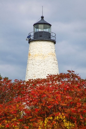 Picture of USA-NEW ENGLAND-MAINE-DYCE HEAD LIGHTHOUSE