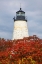 Picture of USA-NEW ENGLAND-MAINE-DYCE HEAD LIGHTHOUSE