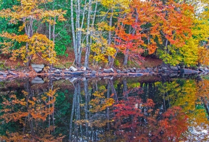 Picture of USA-NEW ENGLAND-MAINE-LAKE WITH FALL COLORS REFLECTED IN CALM WATER