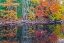 Picture of USA-NEW ENGLAND-MAINE-LAKE WITH FALL COLORS REFLECTED IN CALM WATER