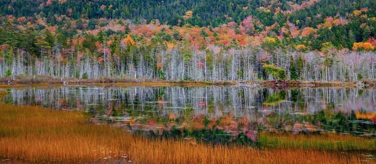 Picture of USA-NEW ENGLAND-MAINE-MT-DESERT ISLAND-ACADIA NATIONAL PARK WITH SMALL LAKE WITH HILLSIDES IN AUTUM