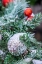 Picture of USA-MARYLAND-BETHESDA-FIRST SNOWFALL ON HOLIDAY DECORATION
