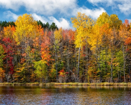 Picture of USA-MICHIGAN-UPPER PENINSULA-MUNISING AUTUMN TREES AT THORNTON LAKE