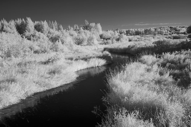 Picture of USA-MINNESOTA-MISSISSIPPI RIVER HEADWATERS REGION-MISSISSIPPI RIVER