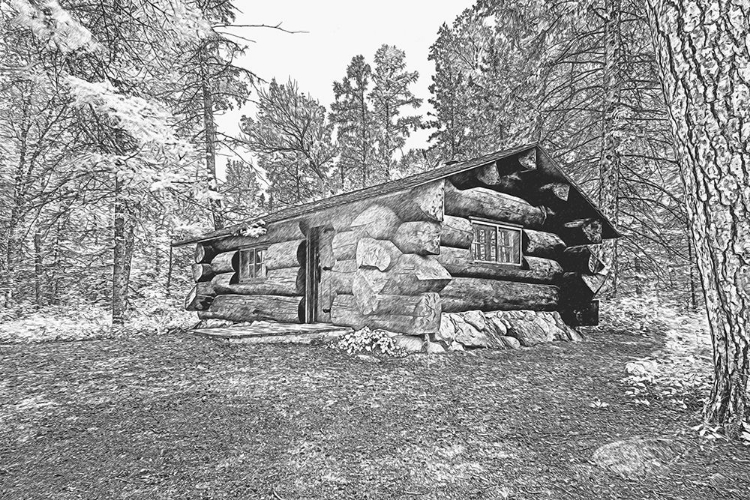 Picture of USA-MINNESOTA-ITASCA STATE PARK