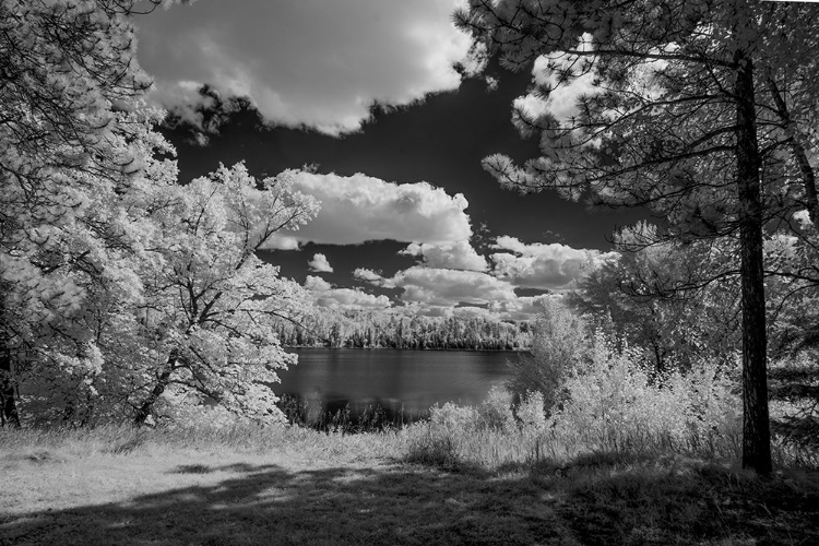 Picture of USA-MINNESOTA-LA SALLE STATE RECREATION AREA