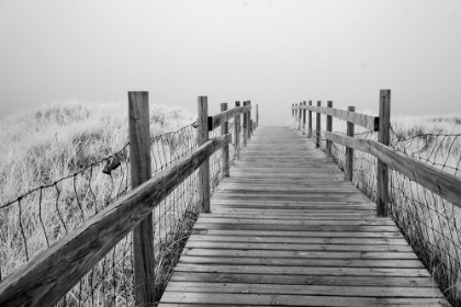 Picture of USA-MINNESOTA-DULUTH-PARK POINT-BOARDWALK OVER DUNES