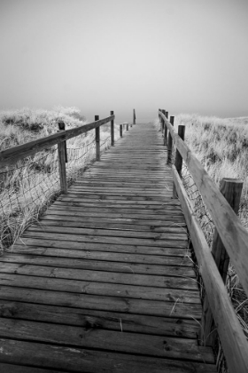 Picture of USA-MINNESOTA-DULUTH-PARK POINT-BOARDWALK OVER DUNES