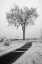 Picture of USA-MINNESOTA-DULUTH-PARK POINT-BOARDWALK OVER DUNES