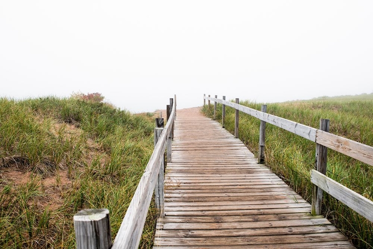 Picture of USA-MINNESOTA-DULUTH-PARK POINT-BOARDWALK OVER DUNES