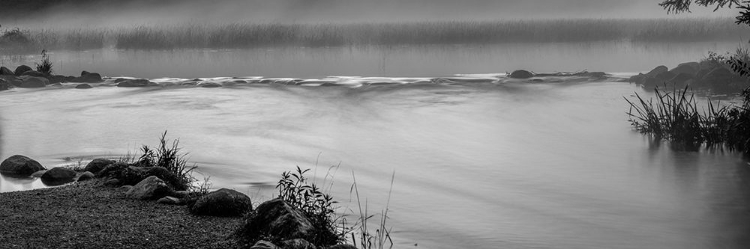 Picture of USA-MINNESOTA-ITASCA STATE PARK-MISSISSIPPI HEADWATERS