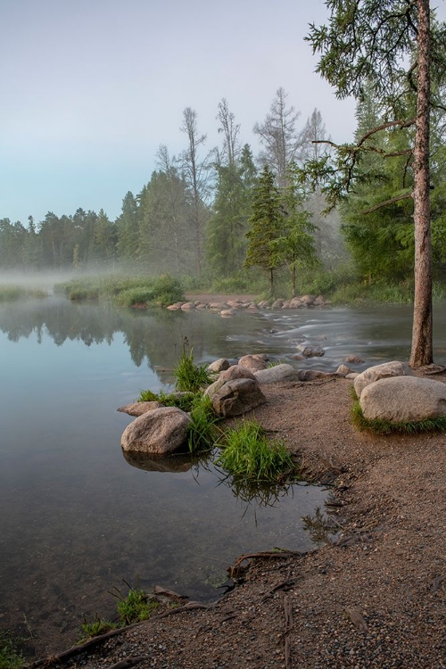 Picture of USA-MINNESOTA-ITASCA STATE PARK-MISSISSIPPI HEADWATERS