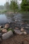 Picture of USA-MINNESOTA-ITASCA STATE PARK-MISSISSIPPI HEADWATERS