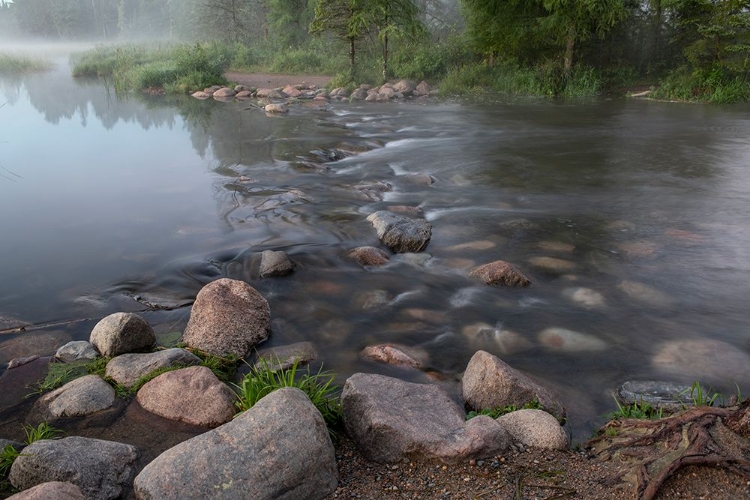 Picture of USA-MINNESOTA-ITASCA STATE PARK-MISSISSIPPI HEADWATERS